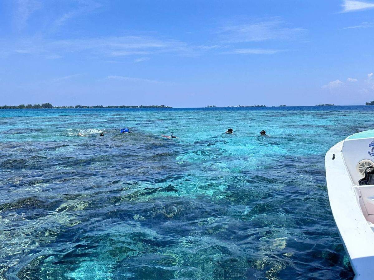 Utila es un refrente turístico para los buceadores, al albergar la segunda barrera de coral más grande del mundo.