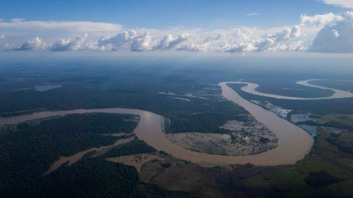 Los numerosos ríos de la Amazonia colombiana funcionan como carreteras selváticas para los traficantes de contrabando de oro venezolano extraído ilegalmente. El río Guaviare es una de las vías fluviales más grandes que desemboca en el río Orinoco, que separa los dos países.
