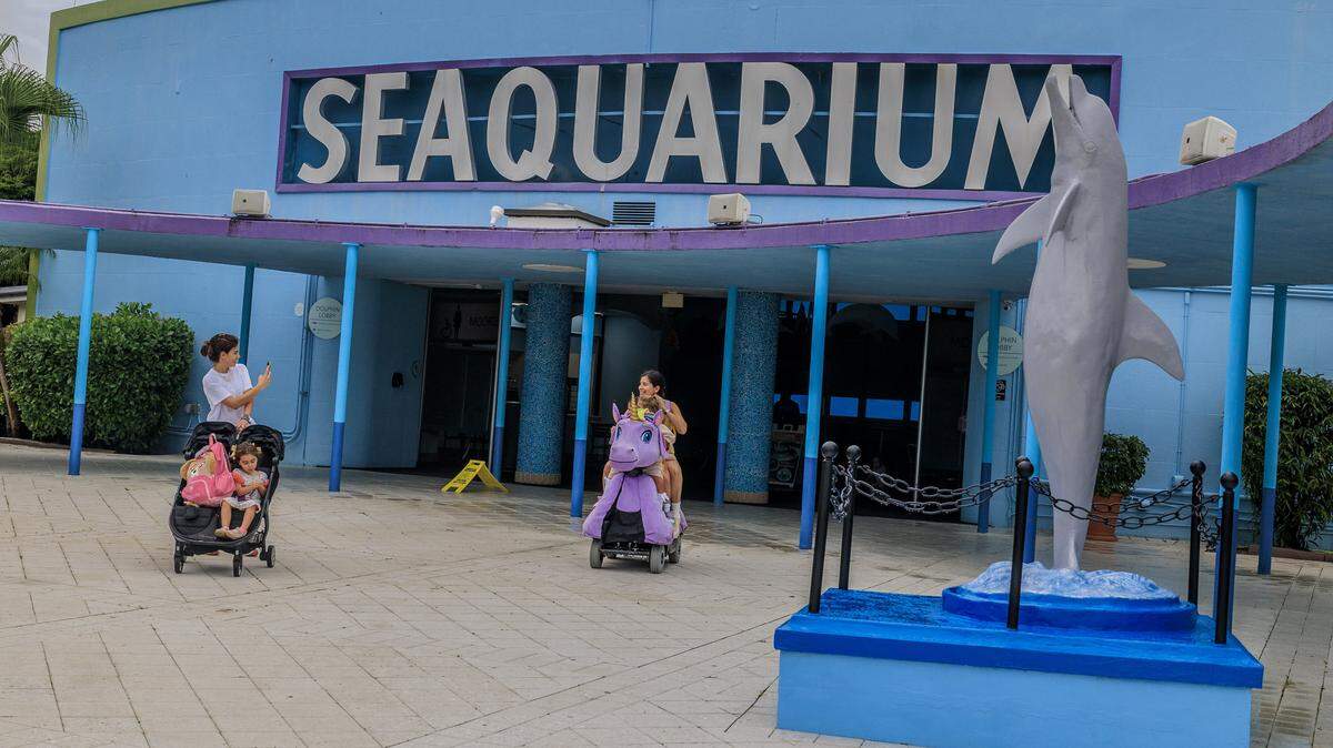 El Miami Seaquarium, en Virginia Key, cerró sus puertas el pasado 12 de octubre, después de 70 años de actividad, casi un año después de que se declarara en quiebra.