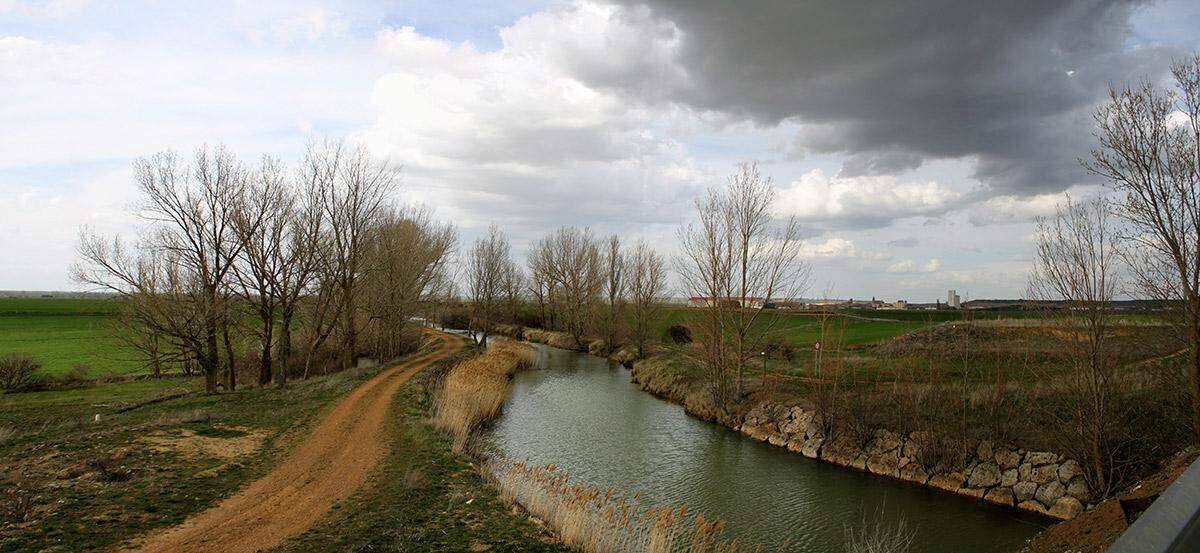 Canal de Castilla a la altura de las Casas del Rey en Paredes de Nava, en la provincia de Palencia, en la Comunidad Autónoma de Castilla y León.