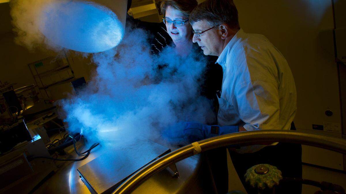 El Dr. Jeffrey Vance y la Dra. Margaret Pericak-Vance, investigadores médicos de la Universidad de Miami, observan un tanque de nitrógeno donde se almacenan tejidos para pruebas de ADN. La Facultad Miller de Medicina de UM lidera un grupo de cuatro instituciones académicas de la Florida y Georgia en un ambicioso esfuerzo a cinco años dirigido a mejorar la eficacia de los tratamientos médicos y las medicinas personalizándolos al estilo de vida, patrimonio genético y el entorno en que viven los pacientes individuales.