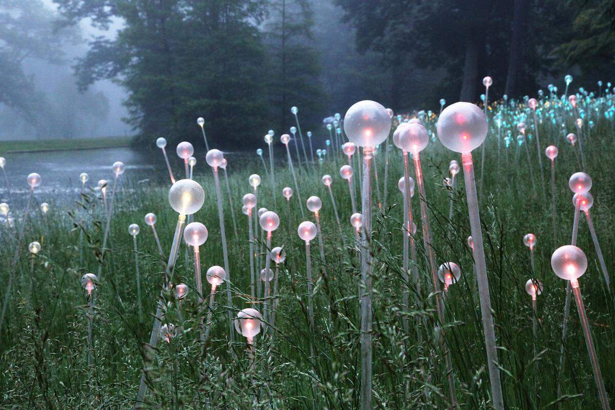 Seis mil luces bordearán los caminos del Pinecrest Gardens, en el suroeste de Miami.