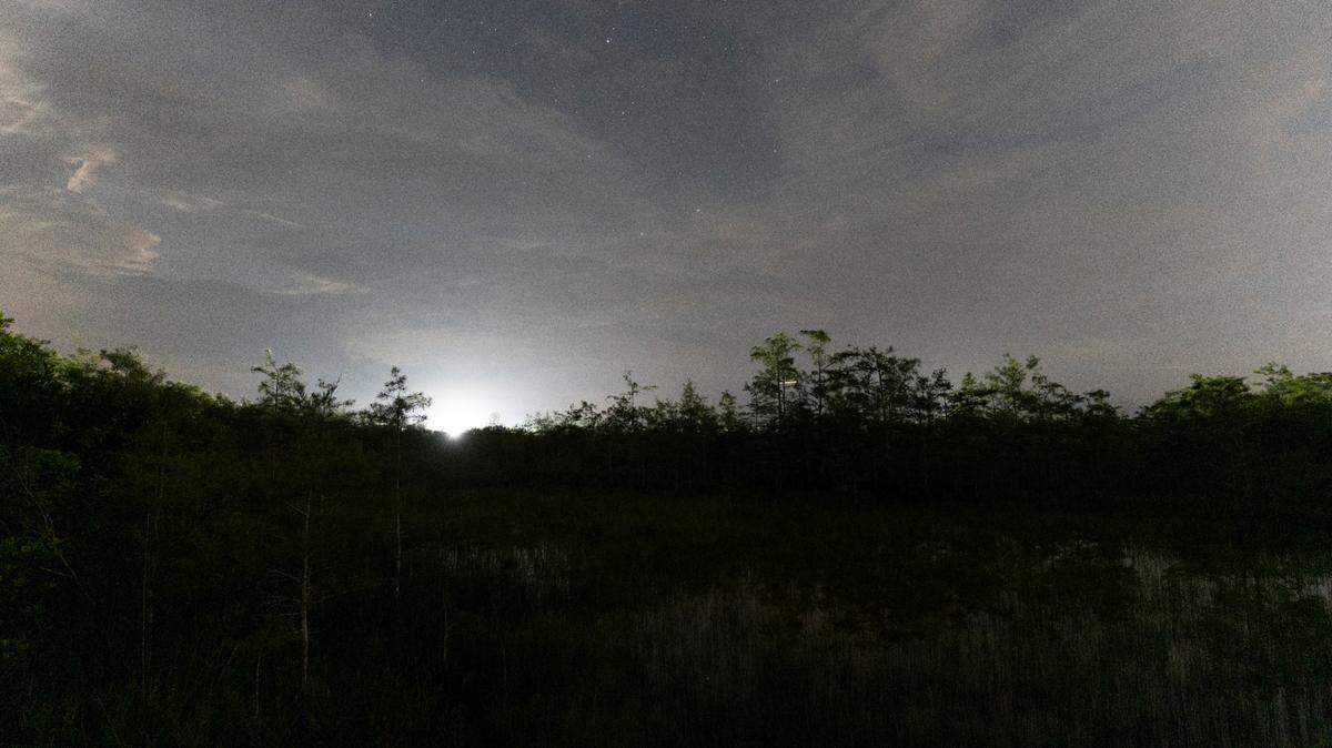 Anthony Sleiman, fotógrafo de conservación que documenta el cielo nocturno sobre los Everglades de Florida, tomó esta foto alrededor de la medianoche del 1 de julio. El resplandor del nuevo centro de detención de inmigrantes del estado, Alligator Alcatraz, se puede ver en las cercanías. La Reserva Nacional Big Cypress fue nombrada la primera reserva de "cielo oscuro" del país en 2016.
