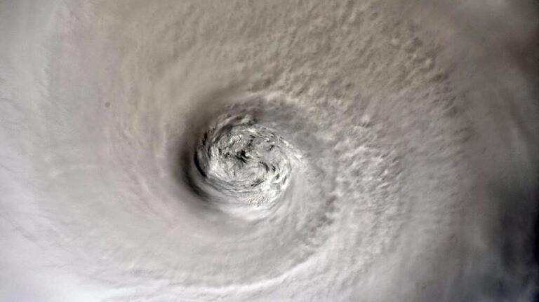 What moves faster than Hurricane Dorian? Well, a turtle, molasses, lots of things