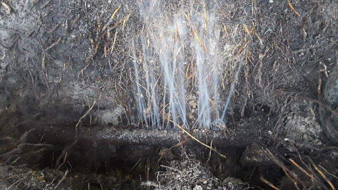 In Hialeah it is common to see floods, water boats, subsidence and broken pipes. Employees of the Department of Public Works have warned that the water and sewage system is not being properly maintained, causing overload due to wear and tear on the pipes.