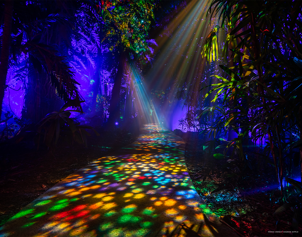 El Fairchild Tropical Botanic Garden se transforma con el espectáculo “Night Garden”, del 10 de noviembre hasta el 7 de enero de 2024.