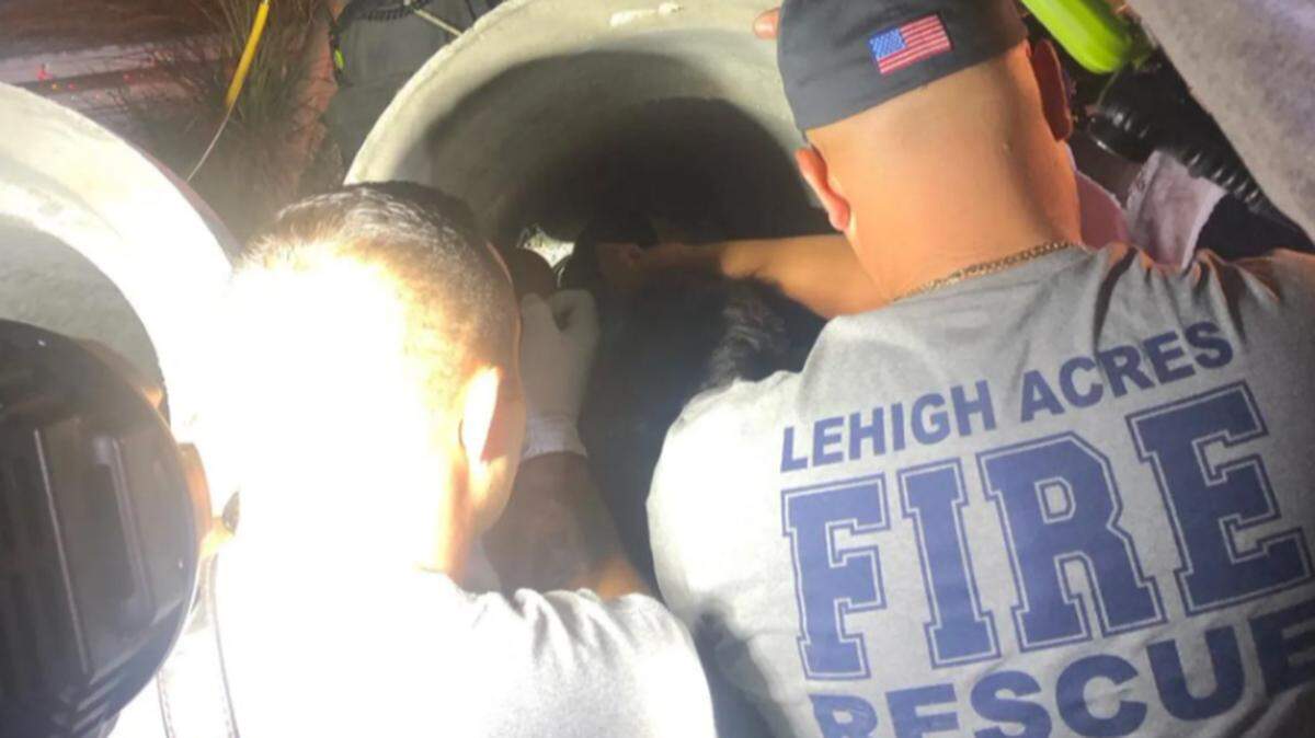 El Departamento de Bomberos y Rescate de South Trail respondieron el lunes 6 de diciembre de 2021 al vecindario de Pine Manor en Fort Myers, donde un niño estaba atrapado en una tubería de alcantarillado de concreto. DEPARTAMENTO DE BOMBEROS Y SERVICIOS DE RESCATE DE SOUTH TRAIL