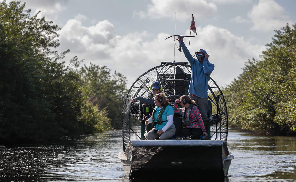 Brandon Welty, investigador de pitones de Croc Docs, sostiene una antena y un receptor para rastrear a un macho durante la temporada de apareamiento, el 11 de marzo de 2026, en el interior de la zona norte de los Everglades.
