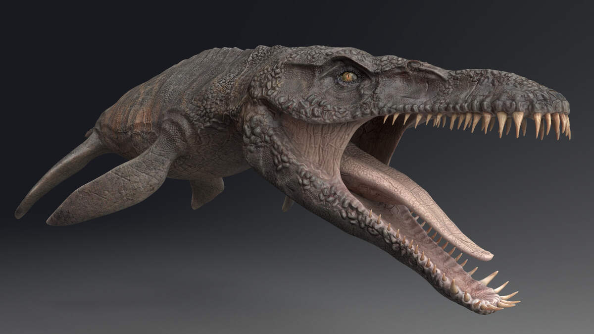 Foto de Referencia - Predator X - Fondo de animación de Pliosaurus Funkei