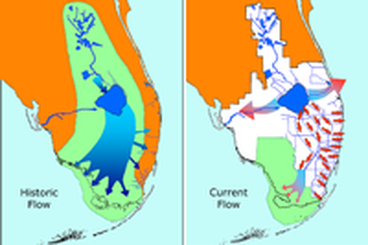 La restauración de los Everglades tiene por objeto restablecer los atributos históricos clave del río de hierba, especialmente la calidad, el almacenamiento y el caudal del agua. Se calcula que llevará muchas décadas. Parque Nacional de los Everglades.
