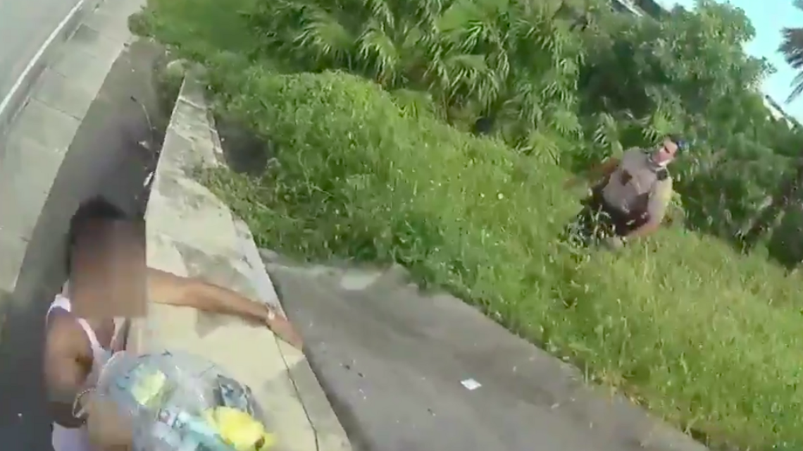 Video: Policías salvan a hombre que iba a saltar de un puente en Miami-Dade