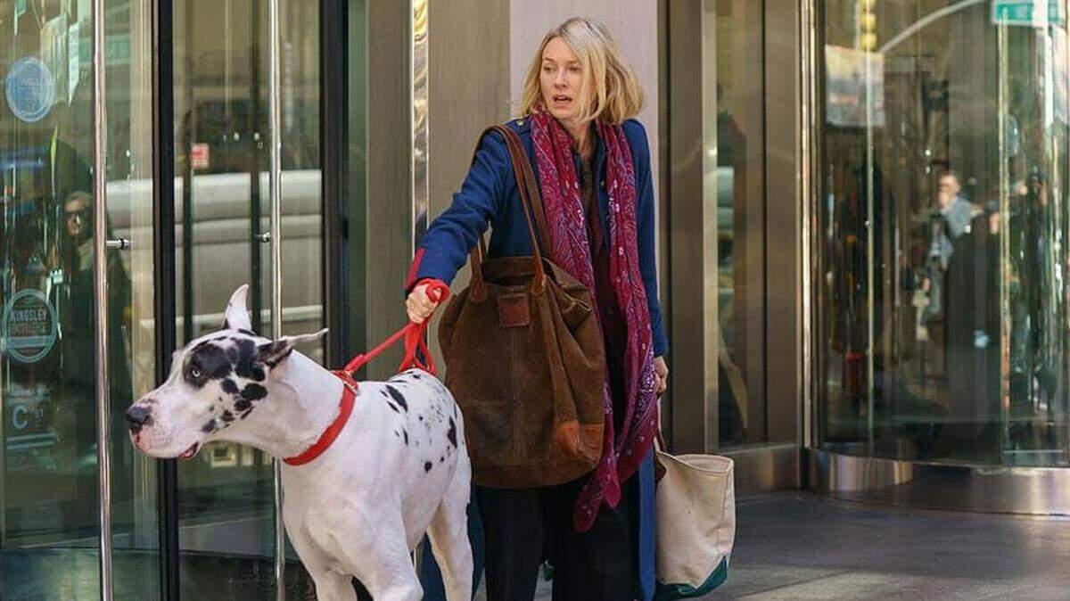 Coral Gables Art Cinema estrena la comedia dramática ‘The Friend’ (2025) en la que la protagonista hereda de su mentor, recientemente fallecido, un gran danés, trastocando su vida en Nueva York.