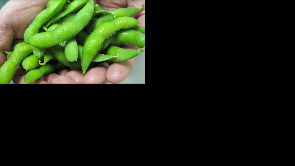 Los alimentos de soja contienen un componente conocido como isoflavonas cuya estructura es similar a la de los estrógenos que “podrían, en teoría”, proteger a la mujer frente a la osteoporosis al simular la acción de los estrógenos.