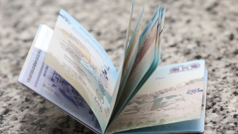 EEUU lanza nuevo aviso para actualizar pasaportes: esto es lo que debes hacer