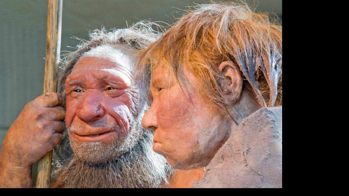 Esta foto de archivo de marzo del 2009  muestra reconstrucciones de un hombre  y una mujer Neandertal, a la izquierda, y la mujer en el museo Neanderthal en Mettmann, Alemania. AP