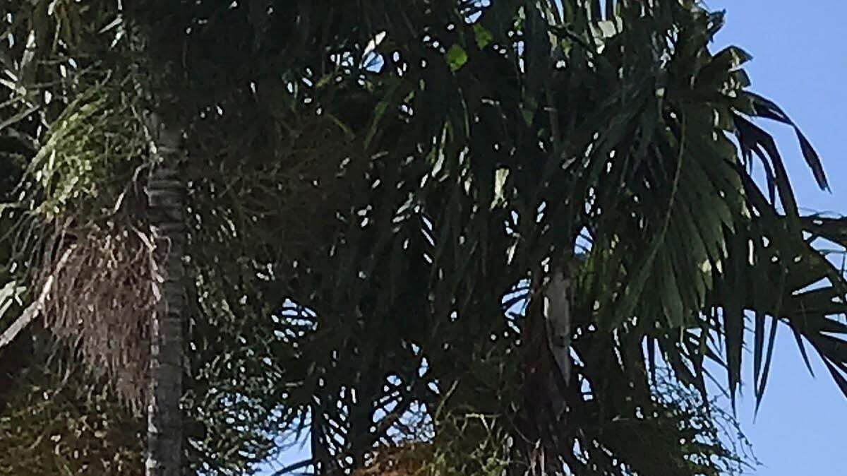La sede de Univision en Doral, Miami. 