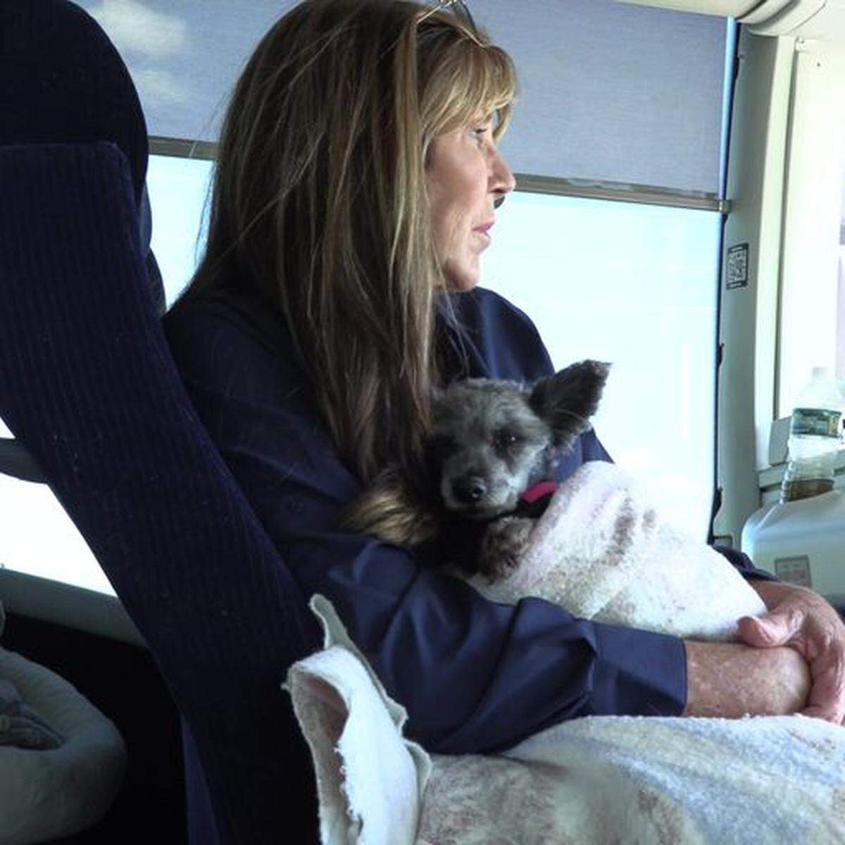 La fundadora y directora ejecutiva de Big Dog Ranch Rescue, Lauree Simmons, con uno de los perros rescatados.