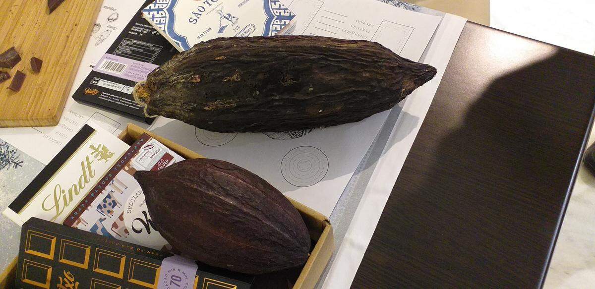 La calidad de un buen chocolate, no solo depende del producto en su origen, sino de las condiciones en las que se procesan las habas.&nbsp;