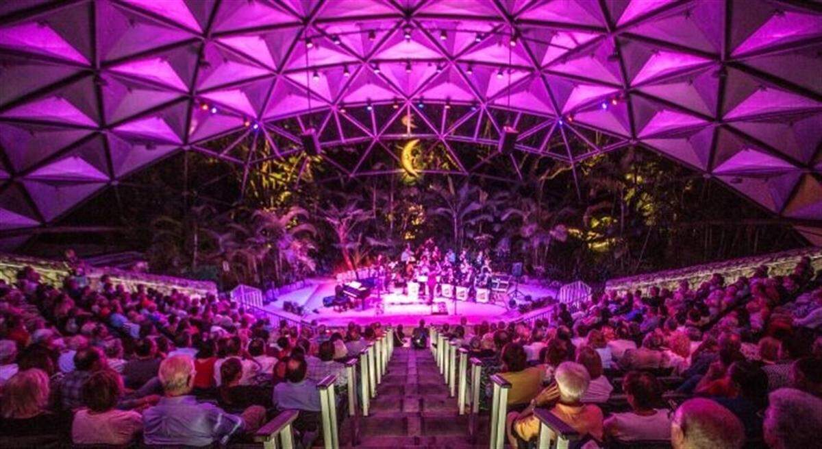 Pinecrest Gardens se transformará en un paraíso invernal con las Noches de Luces, que incluirán espectáculos y exhibiciones.