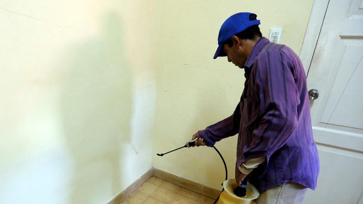 Un hombre realiza labores de fumigación contra insectos y mosquitos, como una de las medidas de control y prevención del dengue en la población cubana, en La Habana (Cuba).