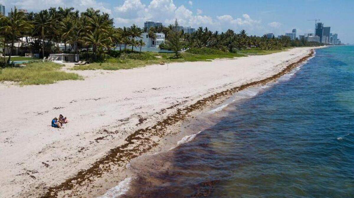 Vista aérea de Golden Beach, Florida, el miércoles 24 de junio de 2020. Foto de Matias J. Ocner / Miami Herald