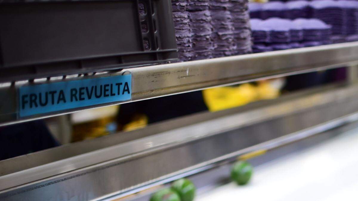 Una empleada trabaja en una planta empaquetadora de aguacates el 19 de octubre en Uruapan, considerada la capital mundial del aguacate, en el estado mexicano de Michoacán.