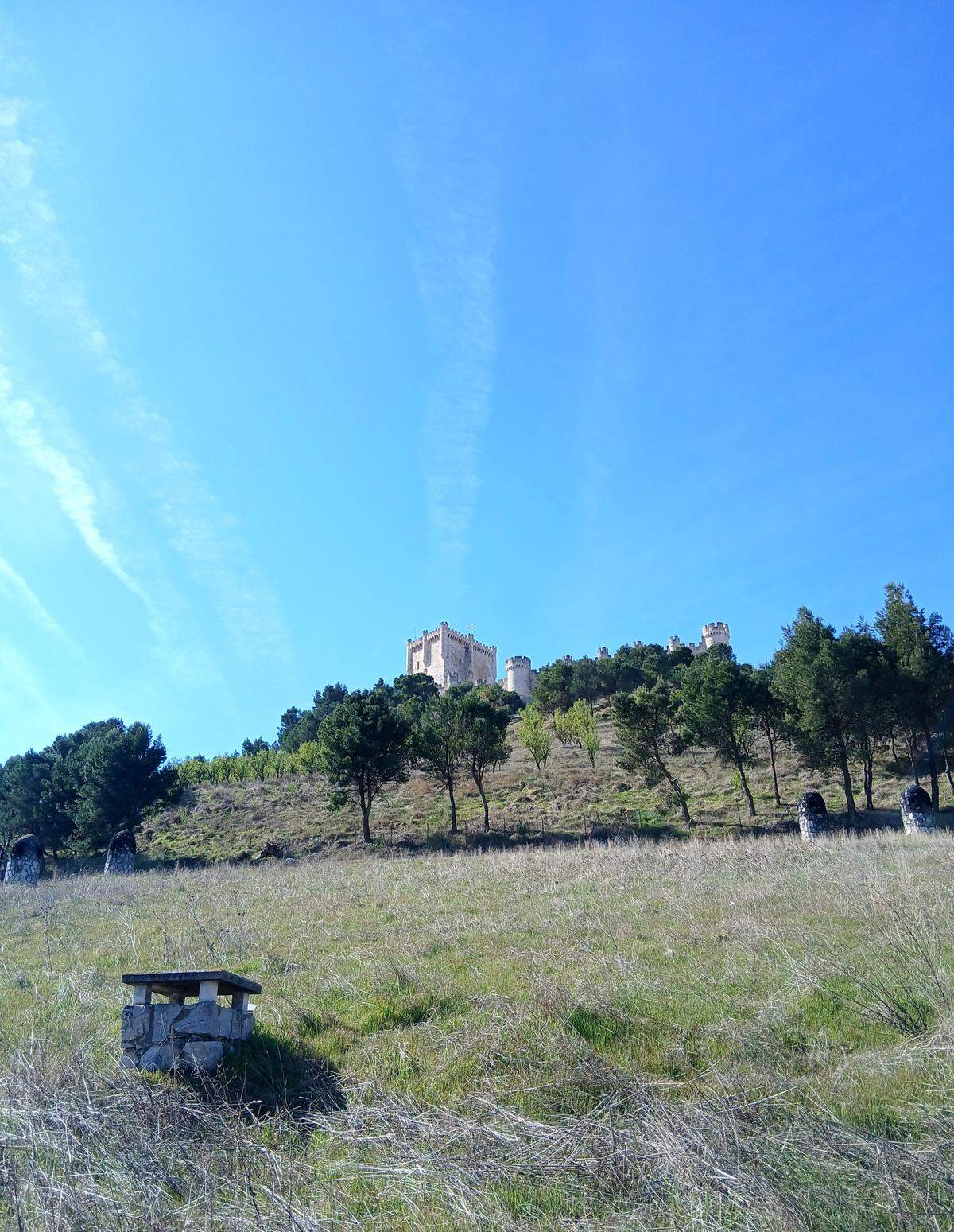 Bajo el Castillo, en largas galerías, se envejece el vino.