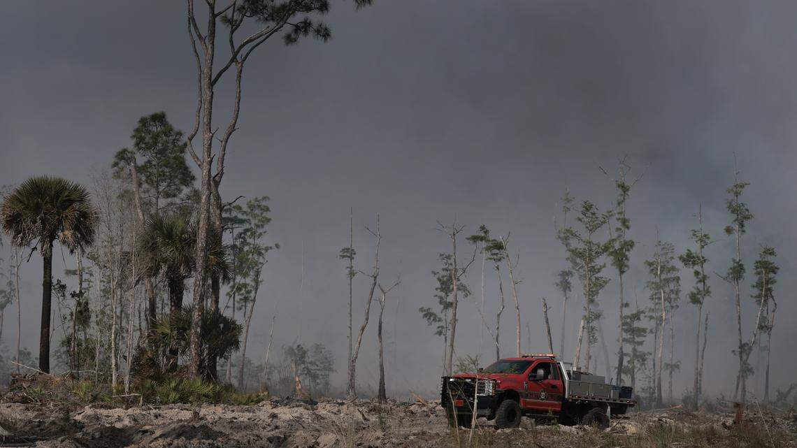 Un camión de bomberos de Marco Island atraviesa un área calcinada mientras colabora con el Servicio Forestal de Florida en el combate de un incendio forestal el 14 de abril de 2026, en Naples, Florida.