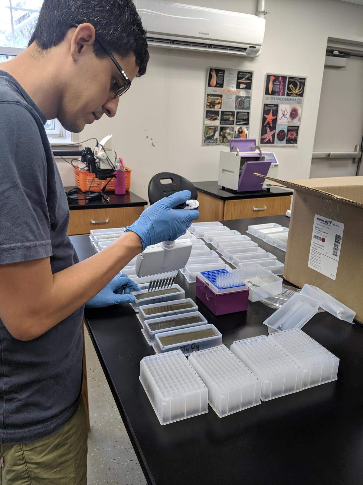 El microbiólogo José Rolando preparando una incubación de sedimentos marinos para estudiar las tasas de descomposición de materia orgánica de marisma mediada por microbios.