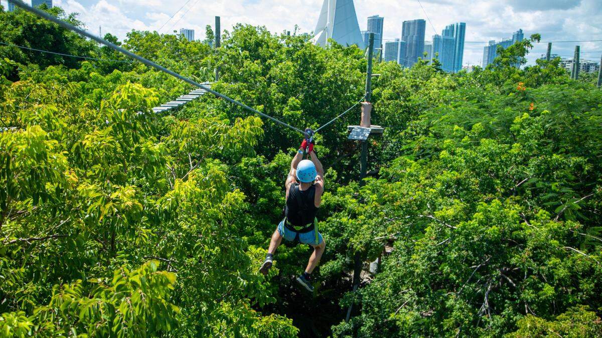 Todo tipo de aventura en Treetop Trekking de Jungle Island en Miami Beach