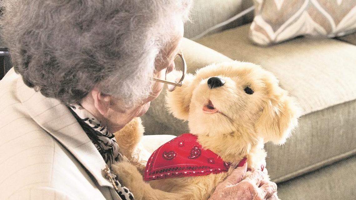 Medicare enrollment is now open in Florida.