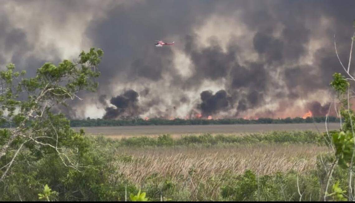 El voraz incendio estalló el lunes en el noreste del Parque Nacional Everglades y está localizado al sur de la Ruta 41 (Tamiami Trail) y al este de Shark Valley.