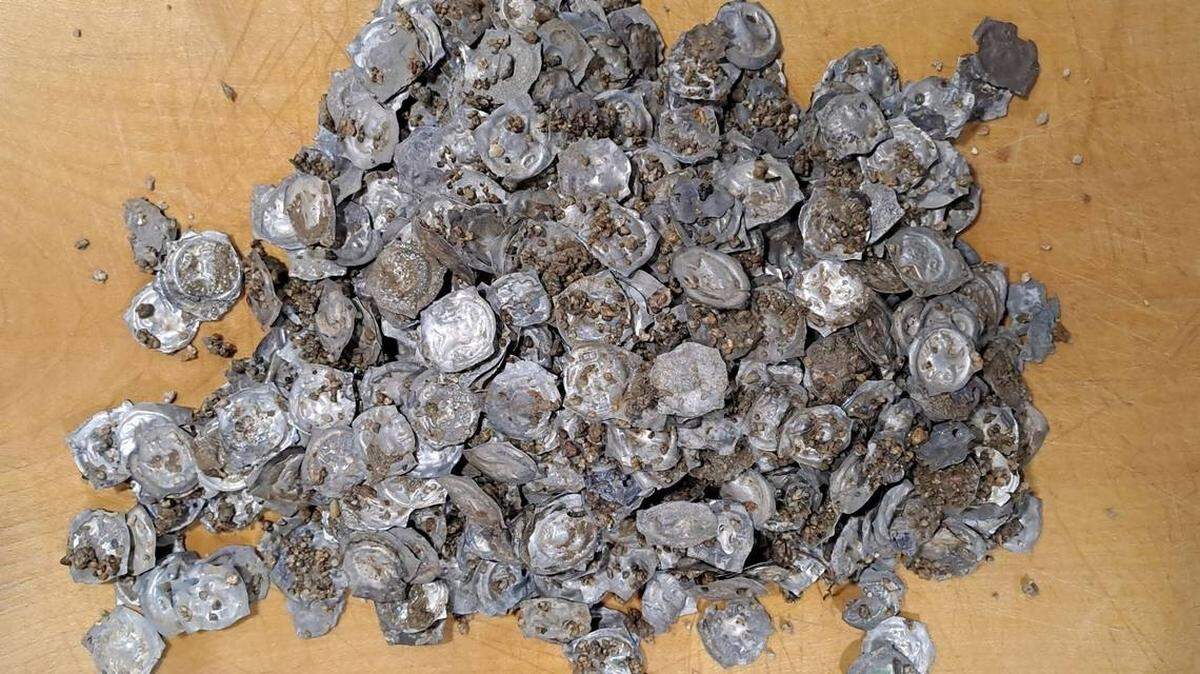 Descubren en excavaciones cientos de tesoros medievales de 650 años de antigüedad en Alemania.