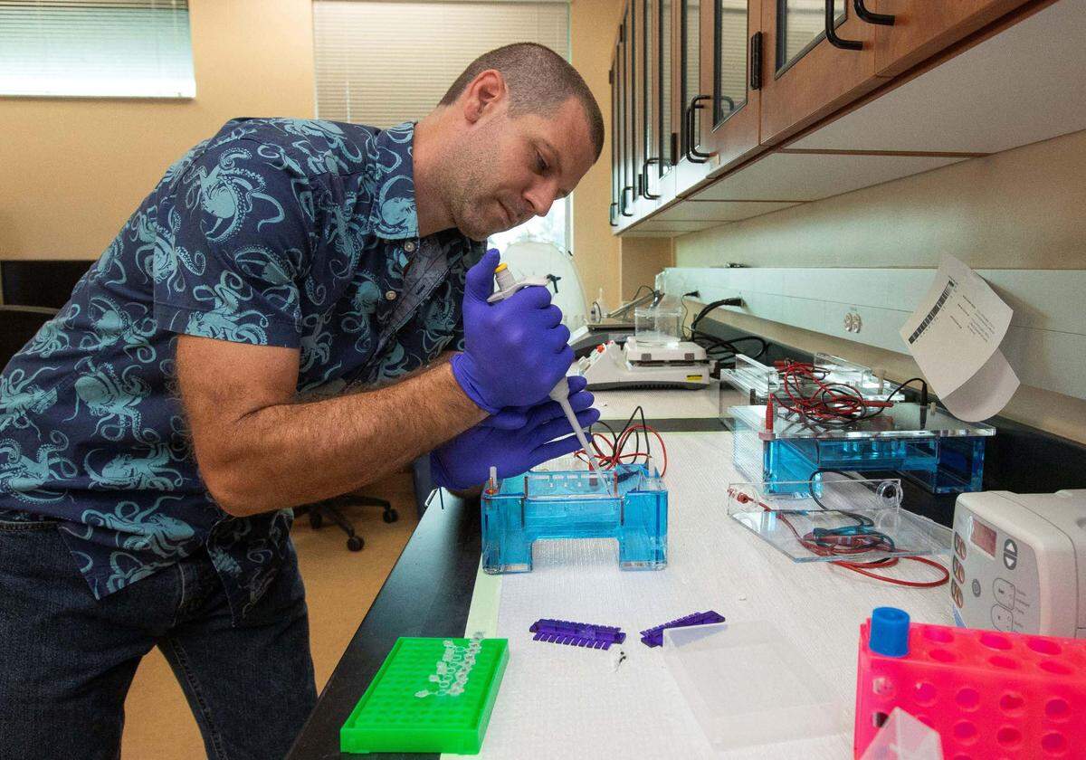 El Dr. Brian Bahder en el laboratorio del Centro de Investigación y Educación de la Universidad de Florida en Fort Lauderdale (FLREC) el miércoles 26 de enero de 2022.