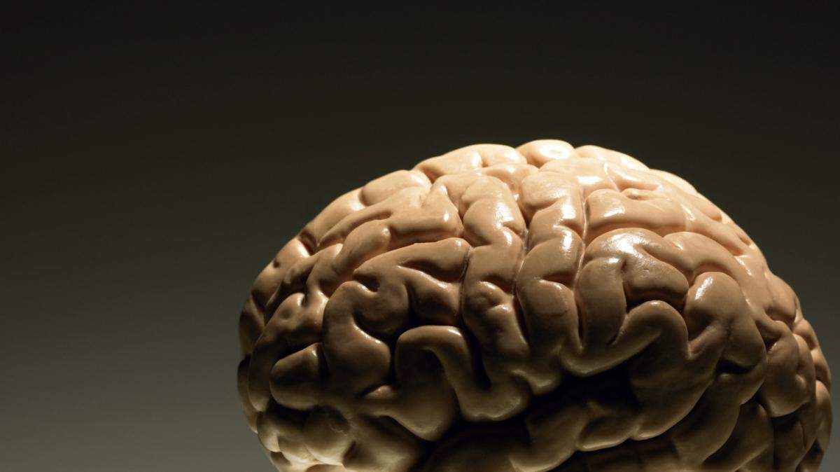 El equipo de científicos analizó los mapas cerebrales apoyándose en los estudios de las ondas armónica.
