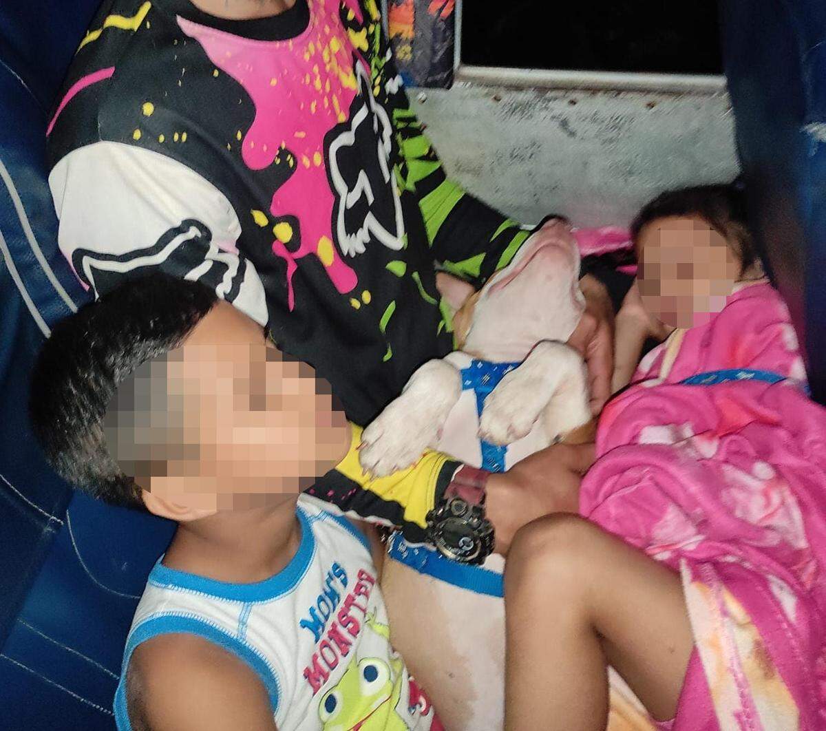 La familia de Max confrontó muchos problemas porque en algunos países de Centroamérica no lo dejaban subir a los autobuses.