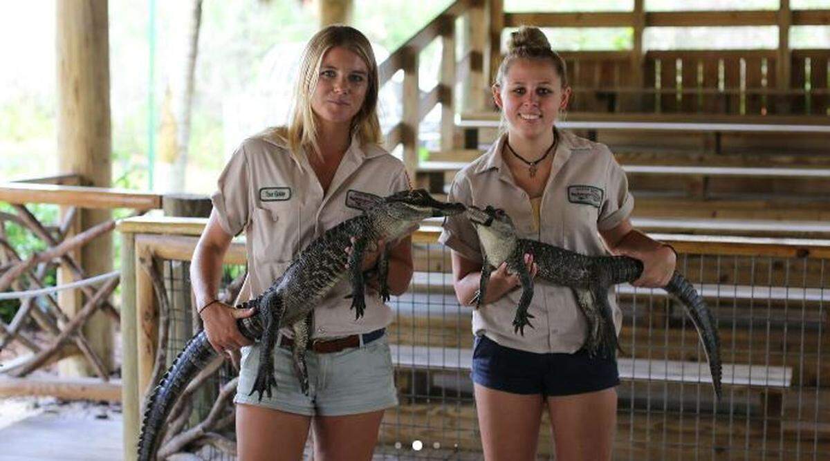 Participa en un emocionante y educativo tour en hidrodeslizador. Disfruta de un espectáculo en el que tendrás la oportunidad de coger a un bebé caimán en los Everglades.