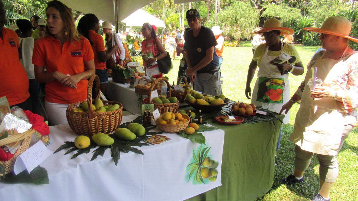 El Festival del Mango 2019 en el FTBG, será los días 13 y 14, a partir de las 9:30 a.m., y está dedicado al mango de República Dominicana. De ese hermoso país viene el Ministro de Agricultura, Osmar C. Benítez, para participar en la Conferencia Internacional del Mango, que se celebrará el día 12.