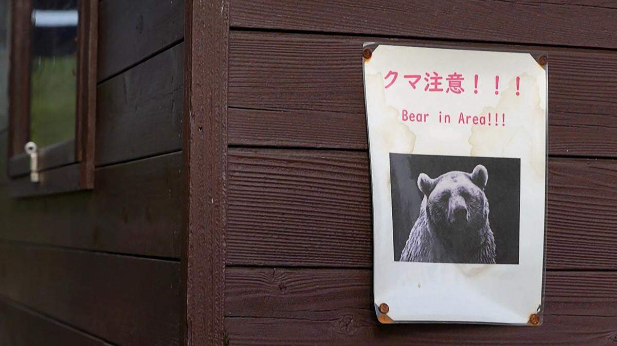 This screen grab taken from AFPTV video footage filmed on October 25, 2025 shows a "Bear in Area" warning sign displayed near a forest in Akita Prefecture. Since April a record 13 people have been killed by bears across the country, with incidents reported on an almost daily basis of the animals entering homes, roaming near schools and rampaging in supermarkets. The government is scrambling to deal with the surge in maulings, which scientists say is being driven by a fast-growing bear population combined with this year's bad acorn harvest, leaving some mountains "overcrowded" with hungry bears. (Photo by Caroline GARDIN / AFPTV / AFP) / To go with AFP story Japan-bear-environment-climate-demographics, REPORTAGE by Hiroshi Hiyama and Caroline Gardin (Photo by CAROLINE GARDIN/AFPTV/AFP via Getty Images)