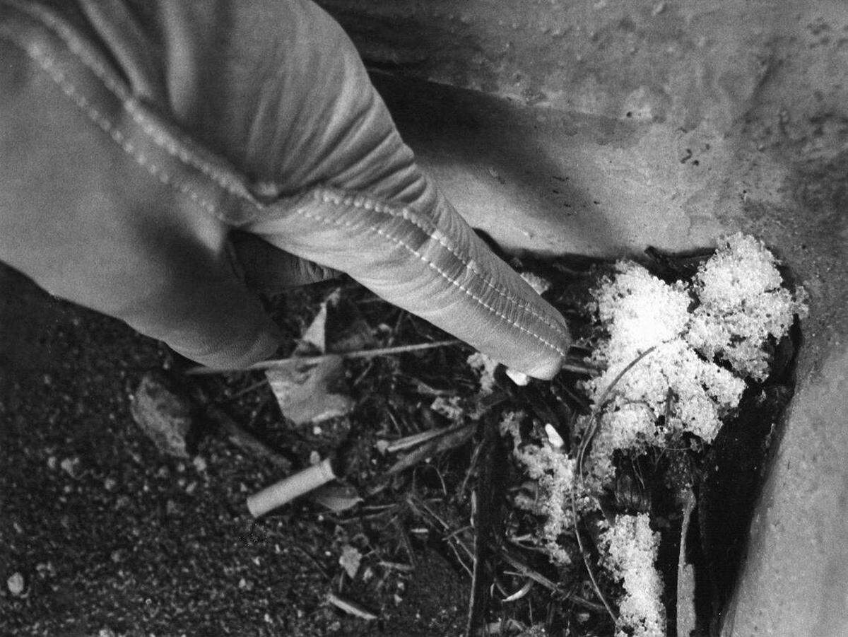 Un cúmulo de nieve en Fort Lauderdale, en el condominio Ramsgate, el 19 de enero de 1977.