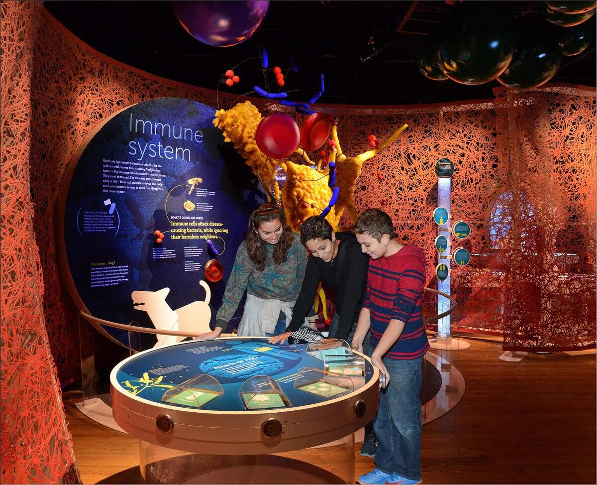 “The Secret World Inside You” / “El Mundo Secreto dentro de ti” es la nueva exposición del museo Phillip and Patricia Frost Museum of Science, que se centra en explorar el fascinante mundo del microbioma a través de un viaje por el cuerpo humano.