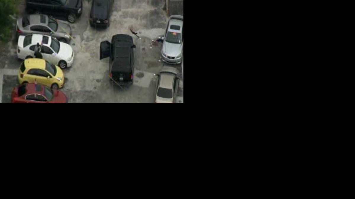 Un hombre fue baleado en el concesionario D & S, localizado en Peters Road al oeste de la carretera 441.