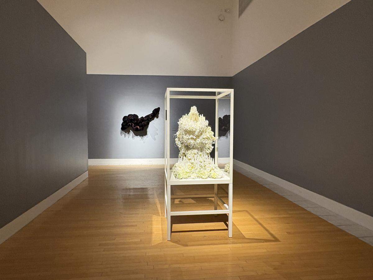 Exposición “Petah Coyne: How Much A Heart Can Hold” (“Cuánto puede contener un corazón”). Obras en sala. Lowe Art Museum, UM. 