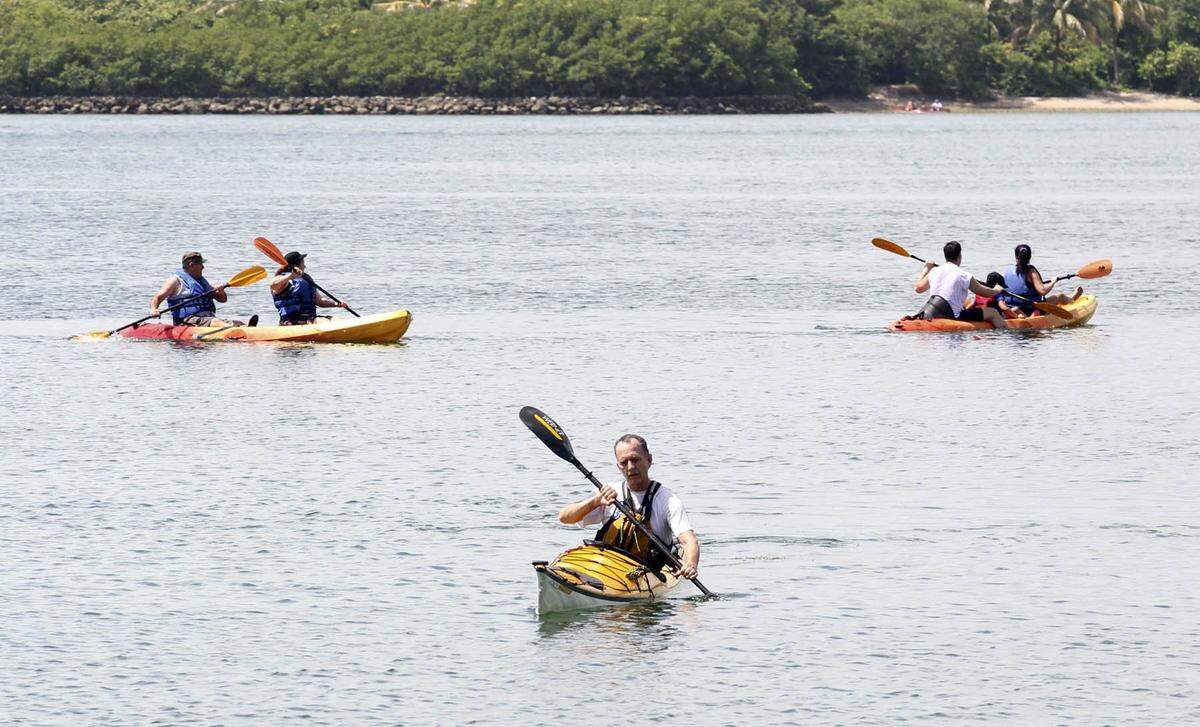 Viaje de aventura ecológica, gratis a través de senderos de manglares en las aguas del norte de la bahía de Biscayne, en el Parque Estatal Oleta River.