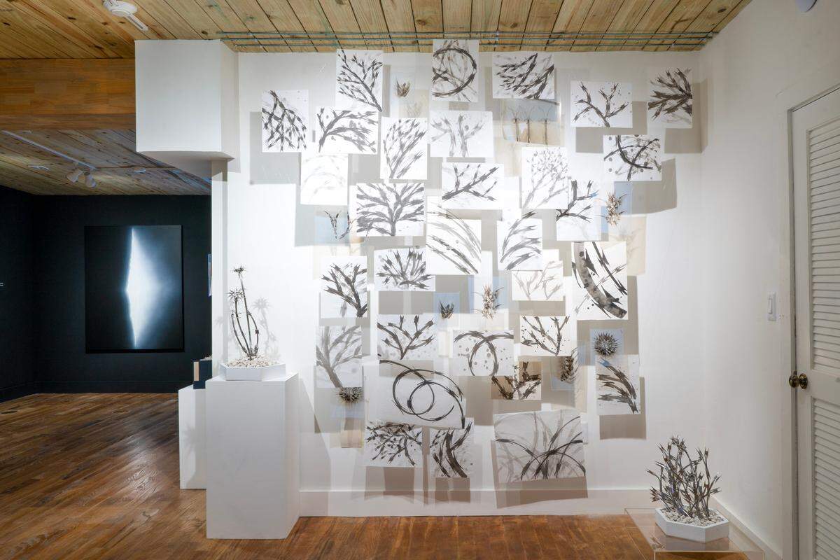 ‘Repitiendo mantras oxidados’, 2021-2024, de Ronald Morán (primer plano) de la serie ‘Beyond the Garden’. En la pared negra del fondo ‘Void VIII’, 2024, de Mario Rodríguez “Mareo”.