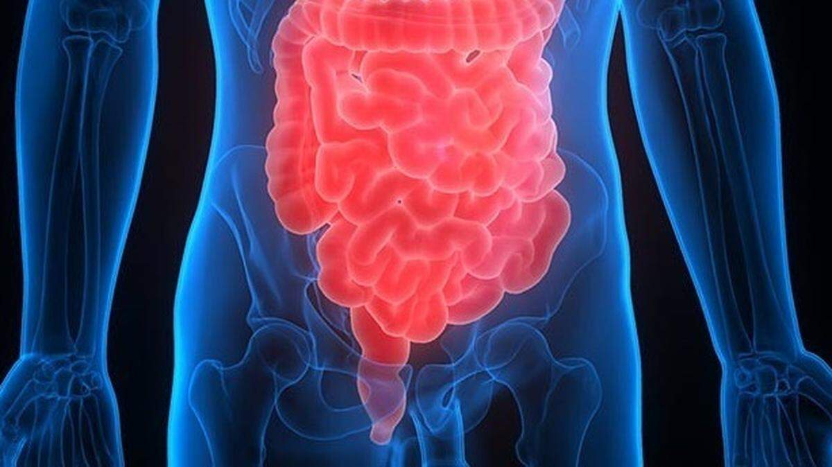 Intestino y colon DONALD WEITZ/FLICKER (Foto de ARCHIVO) 01/1/1970