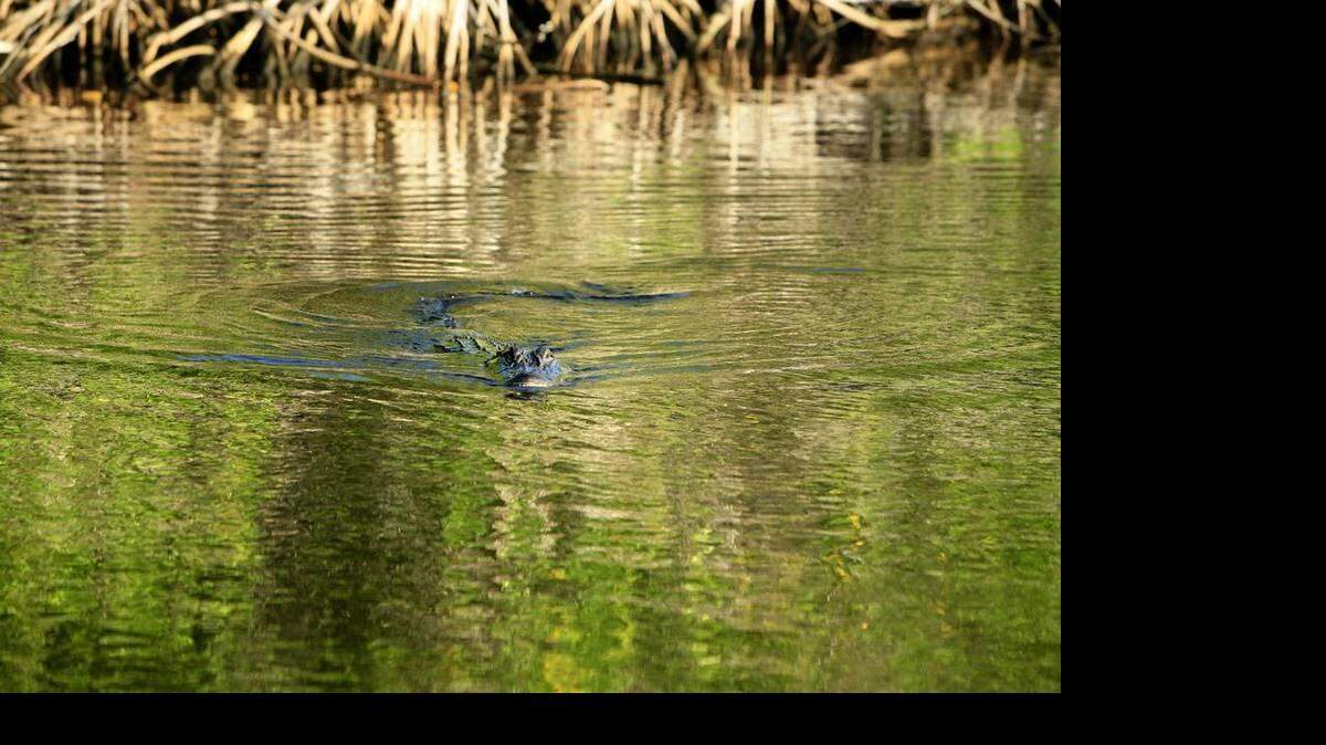 Las autoridades encontraron encontraron el cuerpo desmembrado del ladrón en la laguna de Barefoot Bay, el pasado 23 de noviembre. 