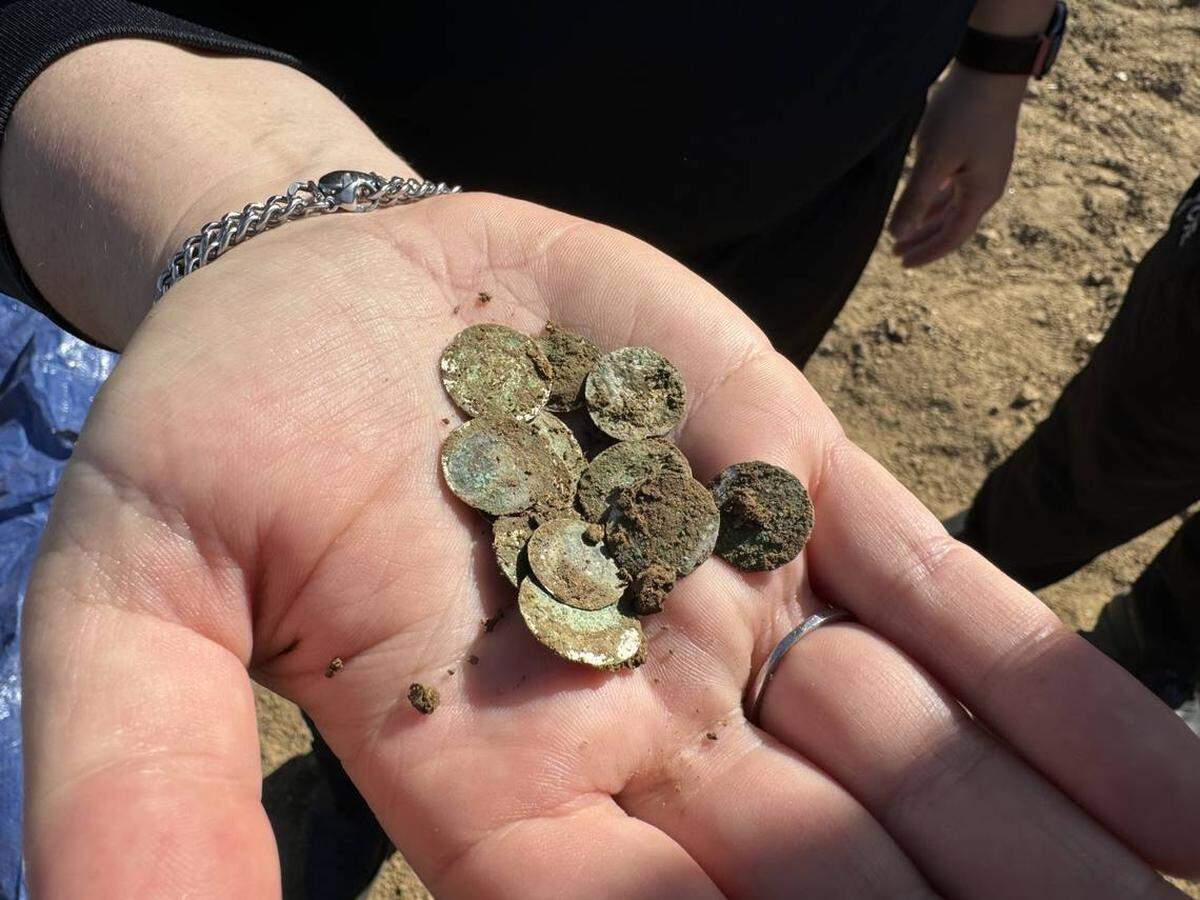 Algunas de las monedas de plata que se encontraron en un campo de Kutnohorsku.