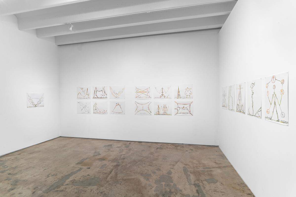 Obras de José Bedia en Snitzer Gallery.
