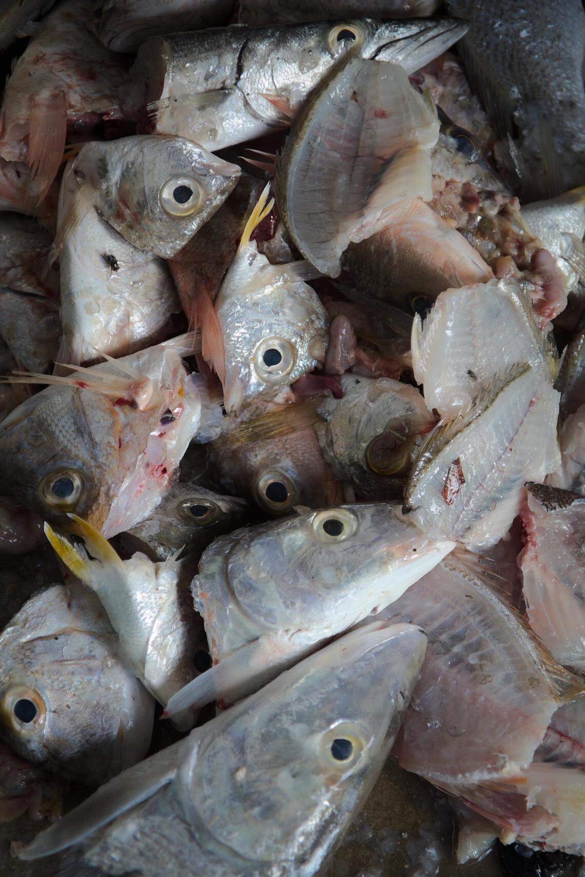 La pesca es una forma de vida en Playa Cajío, en la costa sur de la provincia cubana de Artemisa.